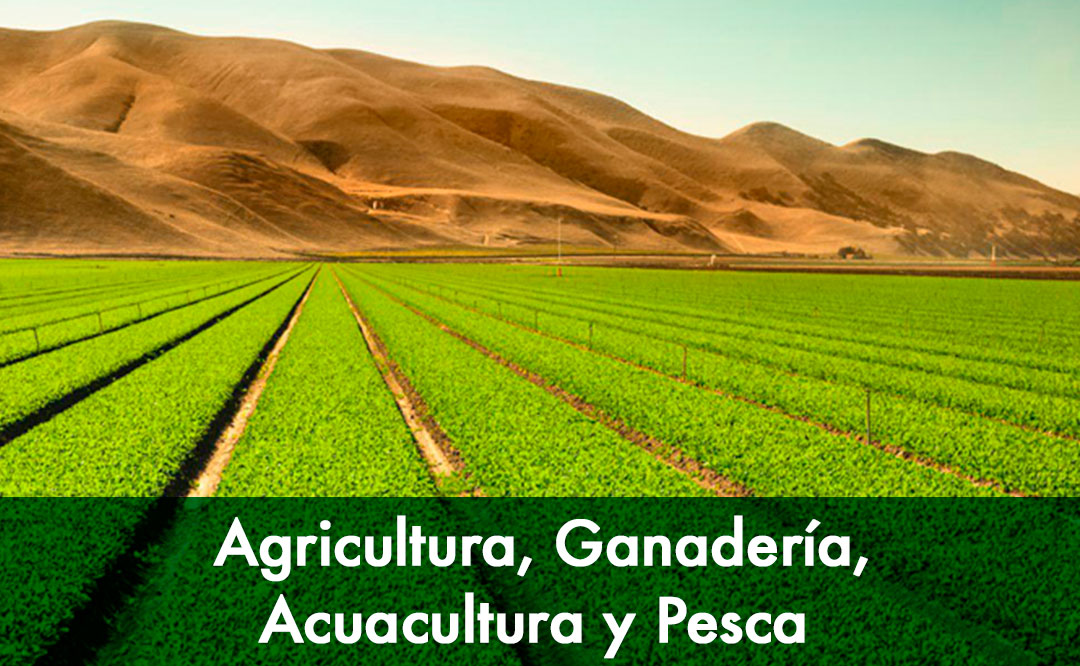 Agricultura, Ganadería, Acuacultura y Pesca